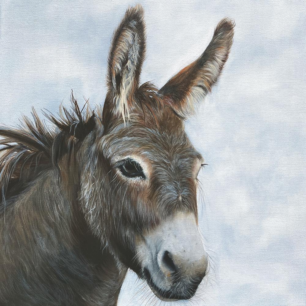 Honkey the Donkey Napkins