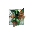 Christmas Deer Wrapping with Green Ribbon