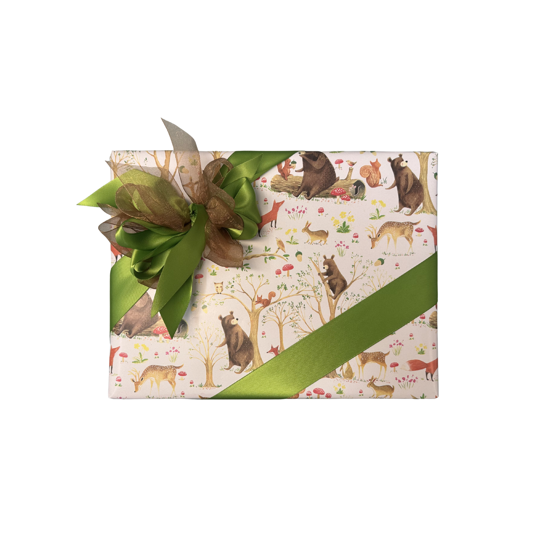 Fox & Friend's Wrapping with Green Ribbon