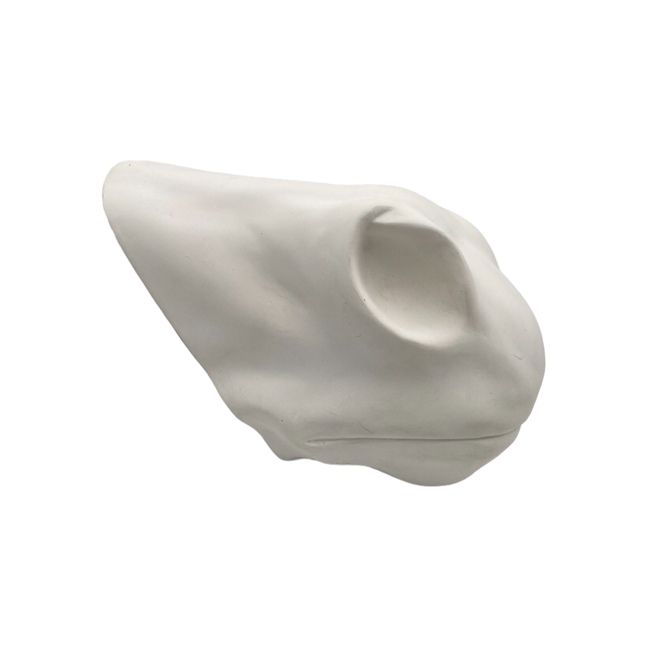 Horse Snout