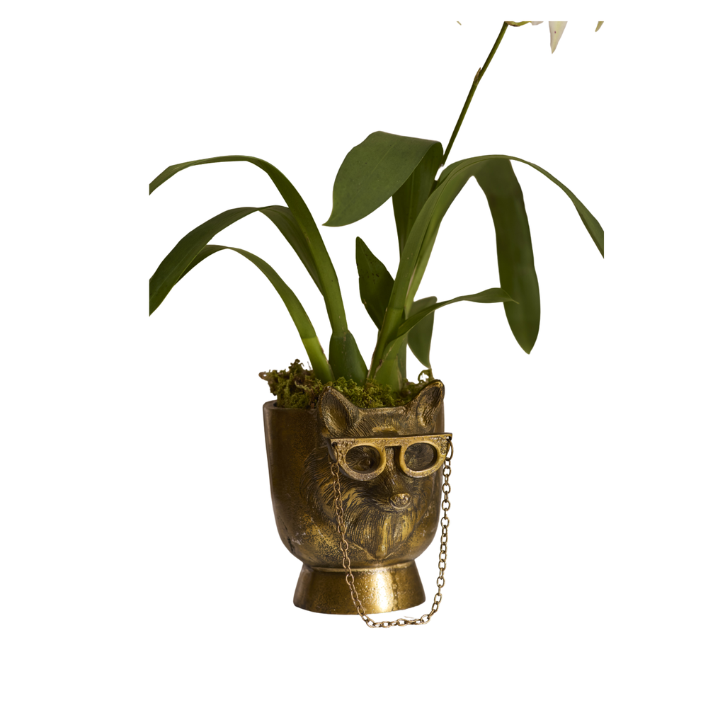 Eloise Pot