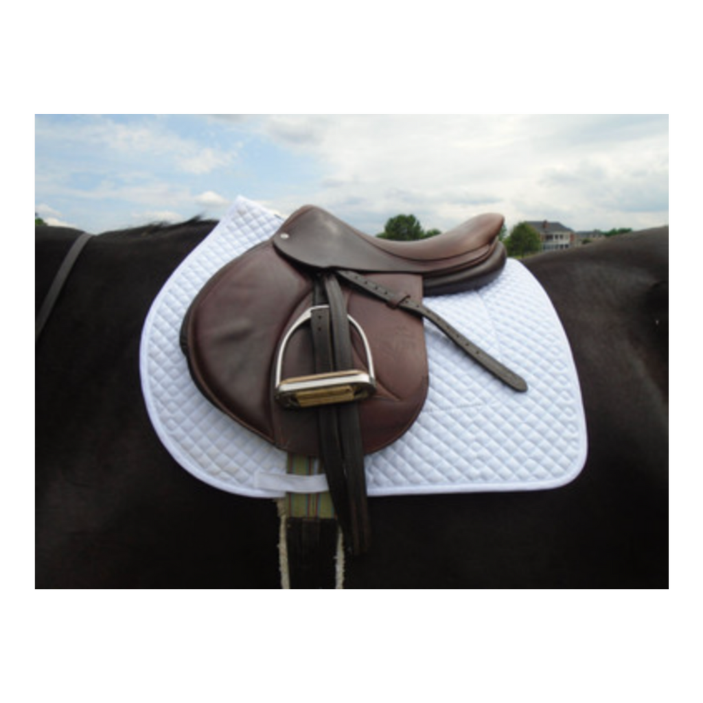 Hunter/Jumper Schooling Show Saddle Pad