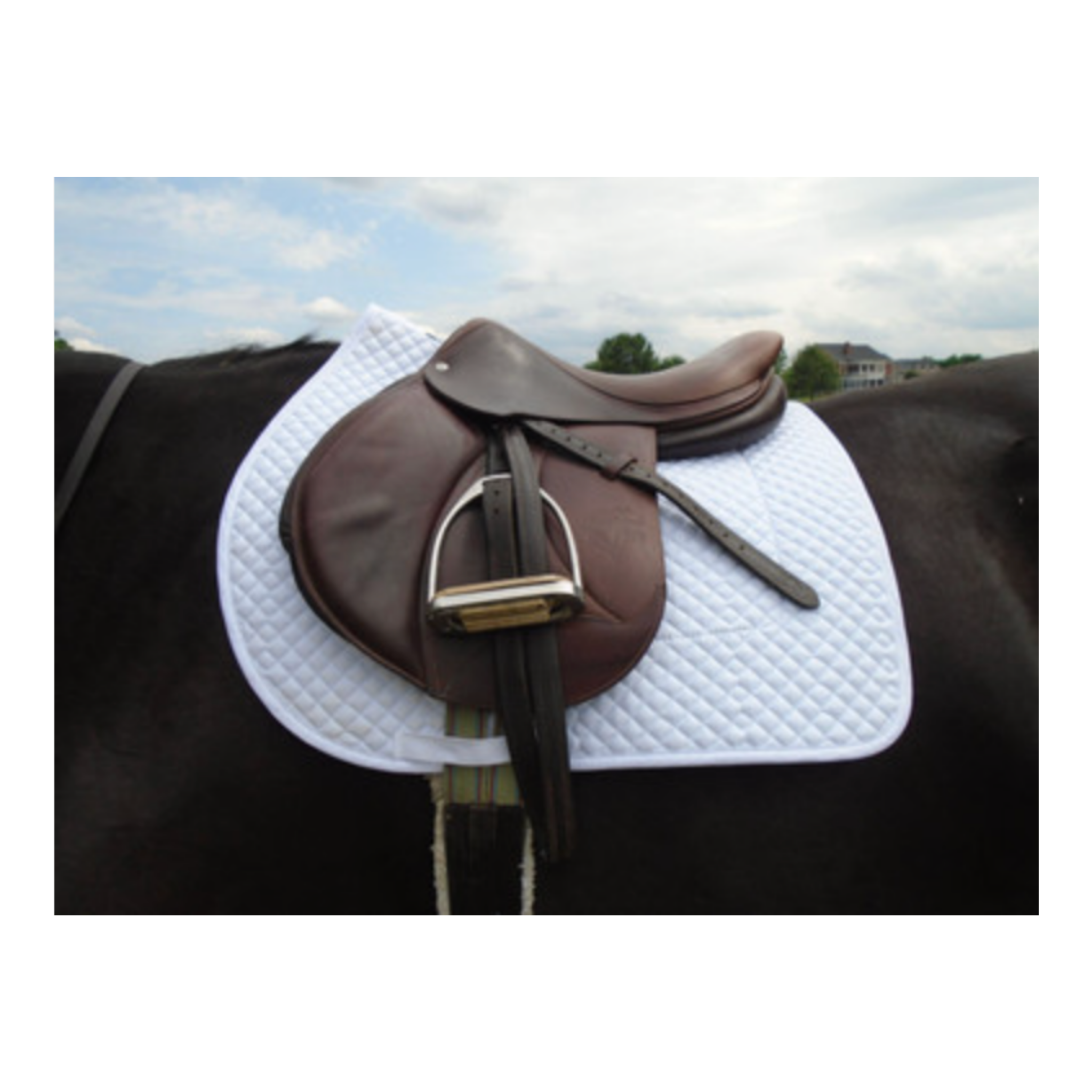 Hunter/Jumper Schooling Show Saddle Pad
