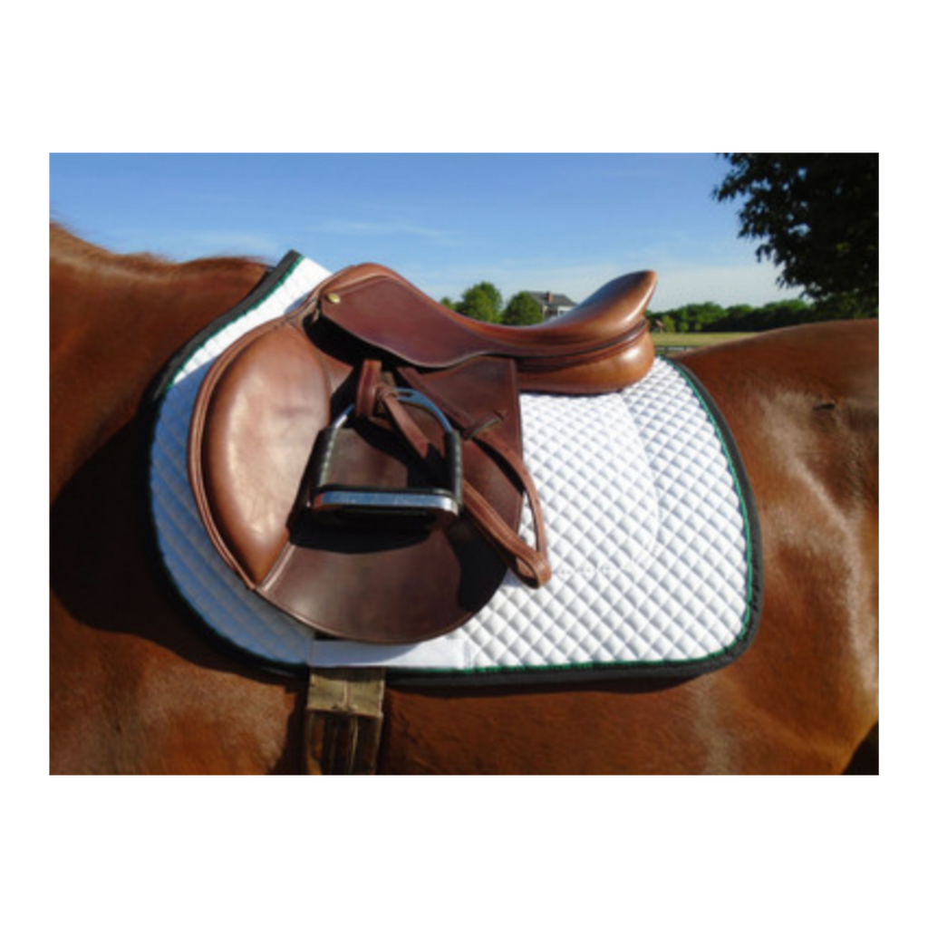 Hunter/Jumper Schooling Show Saddle Pad