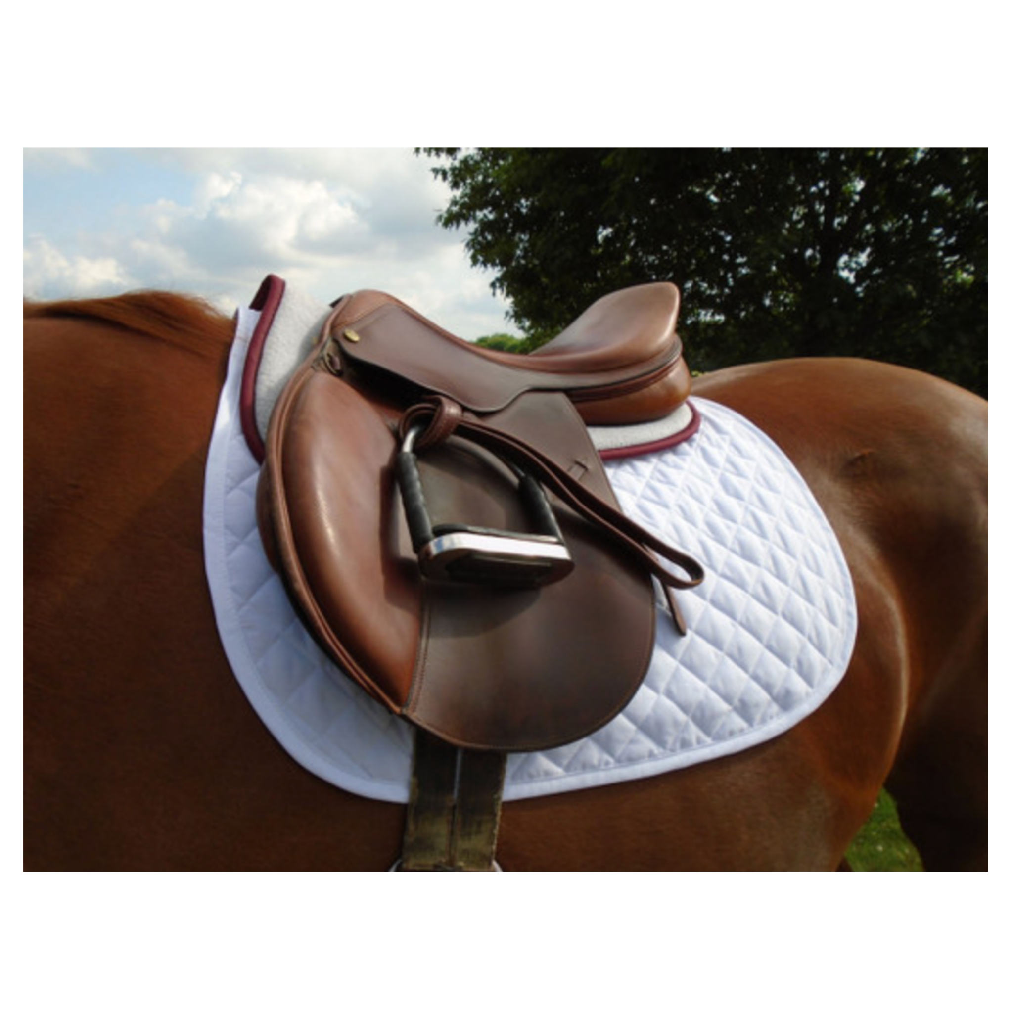 Hunter/Jumper Baby Pad